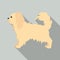 Pekingese vector icon in flat style for web