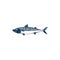 Pelagic fish, Short indian mackerel isolated icon