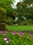 Pelargonium garden