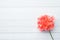 Pelargonium, garden geranium, rose geranium Flower on white wooden background with copy space. selective focus