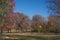 Pelham Bay Park, The Bronx, New York, NY: Picnic tables beneath trees in fall foliage
