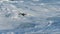 Pelican Bird Flying Low Over an Ocean Wave in Slow Motion