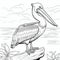 Pelican Coloring Page For Toddlers