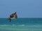 Pelican Flapping His Wings in Flight Off Aruba
