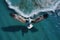 Pelican in flight over the ocean, Patagonia, Argentina, Take flight with a birdseye view shot offering, AI Generated