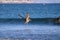 A pelican in flight over the rippling ocean water with other pelicans on the water and waves rolling into the shore