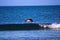 A pelican in flight over the rippling ocean water with other pelicans on the water and waves rolling into the shore