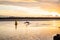 Pelican Flying Over the Ocean at Sunset Time in Noosa, Queensland, Australia. Nature Concept