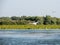 Pelican flying on Potcoava de Sud lake, Danube Delta, Romania
