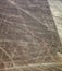 Pelican geoglyph, Nazca mysterious lines and geoglyphs