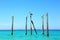 Pelican and gulls sitting on logs. Turquoise water and blue sky background.