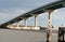 Pelican and Hindmarsh Island Bridge