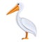 Pelican icon, cartoon style