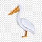 Pelican icon, cartoon style
