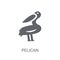 Pelican icon. Trendy Pelican logo concept on white background fr