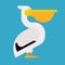 Pelican isolated Waterfowl. Big yellow beak Vector illustration