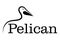 Pelican line drawing