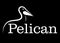 Pelican line drawing