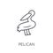 Pelican linear icon. Modern outline Pelican logo concept on whit