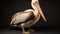 a pelican with a long beak standing on a black background. generative ai