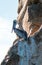 Pelican on Los Arcos cliffs on Lands End at Cabo San Lucas Baja Mexico