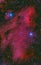 Pelican Nebula in cygnus