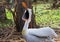 Pelican with open beak