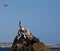 Pelican perched on rock in Cabo San Lucas harbor near Los Arcos (Lands End) in Baja Mexico with parasailor (parasai