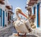 Pelican Petros is a symbol of Mykonos island in Greece