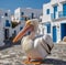 Pelican Petros is a symbol of Mykonos island in Greece