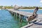 The pelican sits on pier boards.