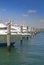 Pelican Sitting on a Mooring Post, Yachts