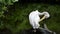 Pelican sitting on a stump