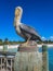 Pelican Statue