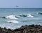 Pelican, Surfers, Waves and Rocks