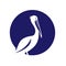 Pelican vector icon on white background. Flat vector pelican icon symbol sign from modern animals collection