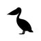Pelican vector icon on white background. Flat vector pelican icon symbol sign from modern animals collection