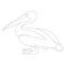 Pelican vector illustration, lining draw ,profile view