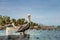 Pelican and young laughing gull standing on a pier - Caye Caulker, Belize