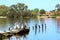 Pelicans on an abandoned footbridge at the Canning river in a suburb of Perth, Western Australia