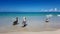 Pelicans on beach in Varadero town