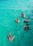 Pelicans in Caribbean sea. Five birds in turquoise water. Nature background or wallpaper. Animals wildlife. Puerto Morelos. Yucata