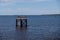 Pelicans on Channel Marker