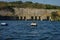 Pelicans in Chicoasen Hydroelectric Reservoir in the end of S