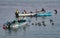 Pelicans crowd small fishing boats, looking for scraps