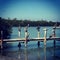 Pelicans on the dock by the bay