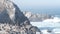 Pelicans flock, rocky cliff island, ocean, Point Lobos, California. Birds flying