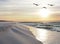 Pelicans Fly Over White Sand Beach at Sunrise