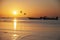 Pelicans fly at sunset over the sea