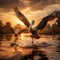 Pelicans flying in Danube Delta Romania